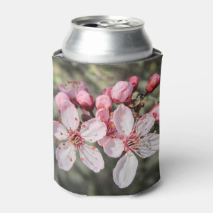 Zwei rosa Blüten kommen raus. Dosenkühler