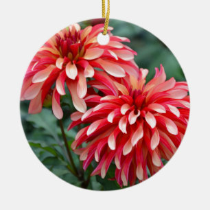 Zwei rosa Dahlien-Blume Keramik Ornament