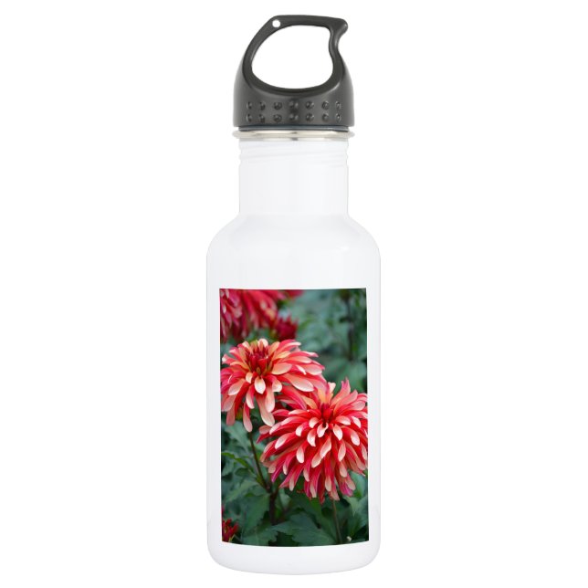 Zwei rosa Dahlien-Blume Trinkflasche (Vorderseite)