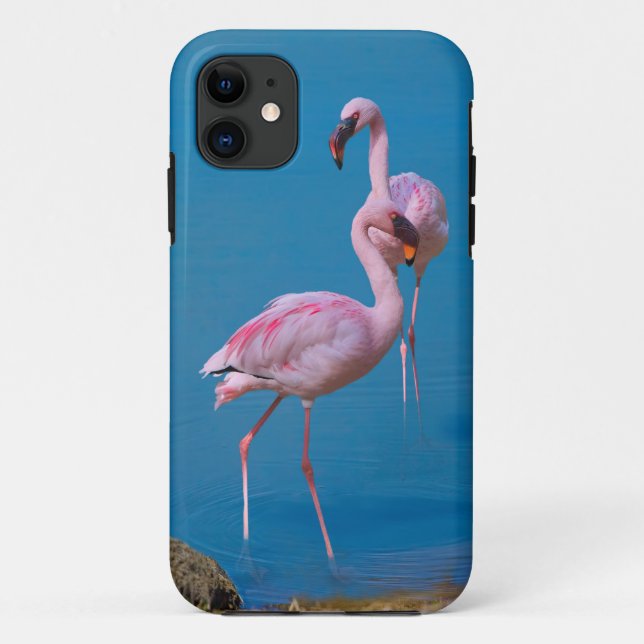 Zwei rosa Flamingos Case-Mate iPhone Hülle (Rückseite)