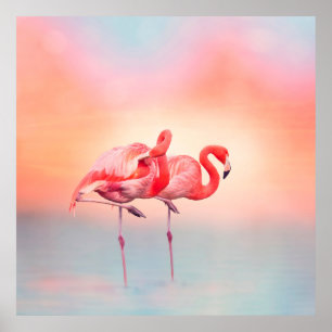 zwei rosa Flamingos im Wasser bei Sonnenuntergang, Poster