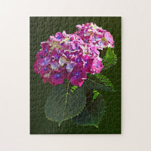 Zwei rosa Hydrangea Puzzle