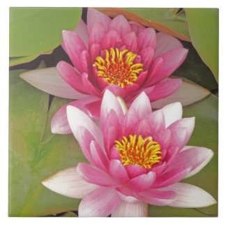 "ZWEI ROSA LOTUSBLÜTEN" Dekorative Fliese