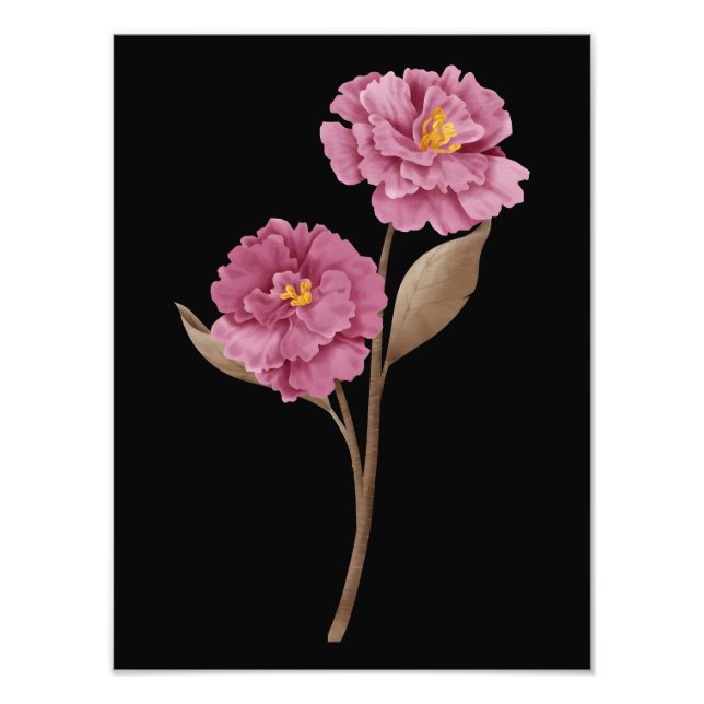 Zwei rosa Peonies Fotodruck (Vorne)