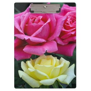 Zwei rosa Rosen Klemmbrett