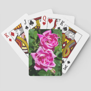 Zwei rosa Rosen spielen Karten Spielkarten