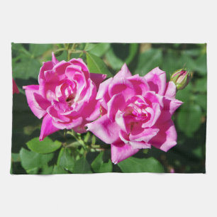 Zwei rosa Roses Küchentücher