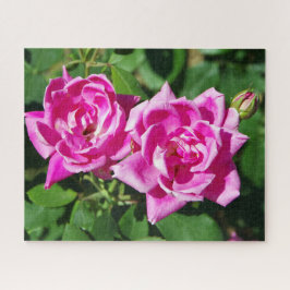 Zwei rosa Roses-Puzzle Puzzle
