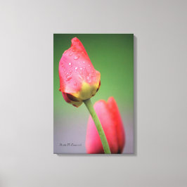 Zwei rosa Tulips Canvas drucken Leinwanddruck