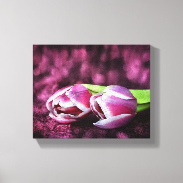 Zwei rosa Tulpen Leinwanddruck (Vorderseite)
