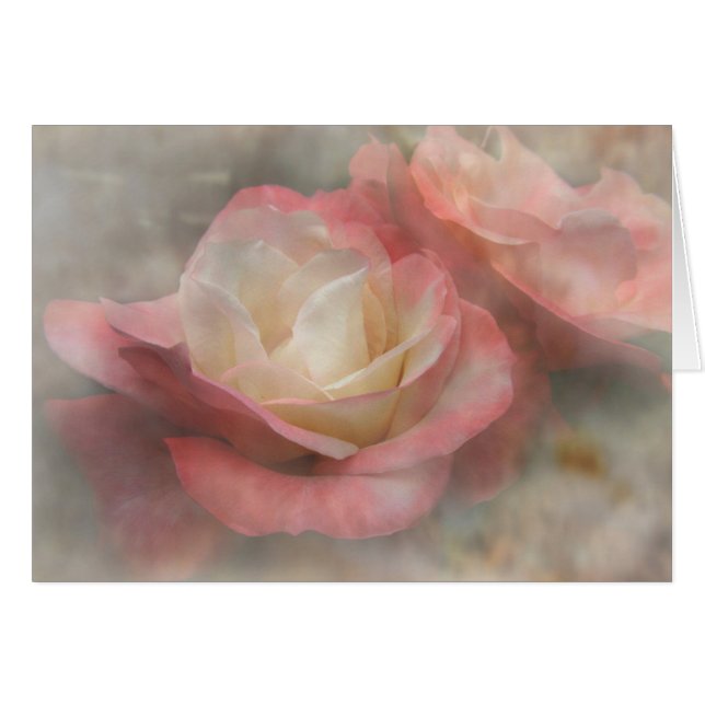 Zwei Rose (Vorderseite (Horizontal))