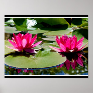 Zwei Rose-farbene Wasserläufe Poster