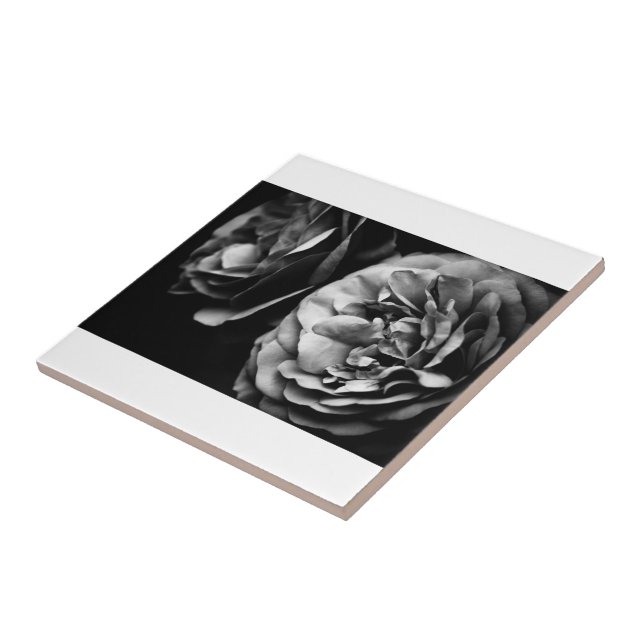 zwei Rose Fliese (Seite)