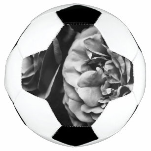 zwei Rose Fußball