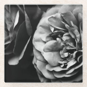 zwei Rose Glasuntersetzer