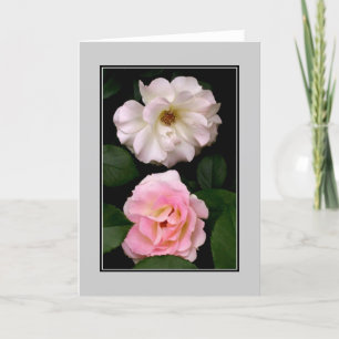 "Zwei Rose leere Note Card Karte