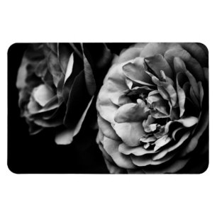 zwei Rosen Magnet
