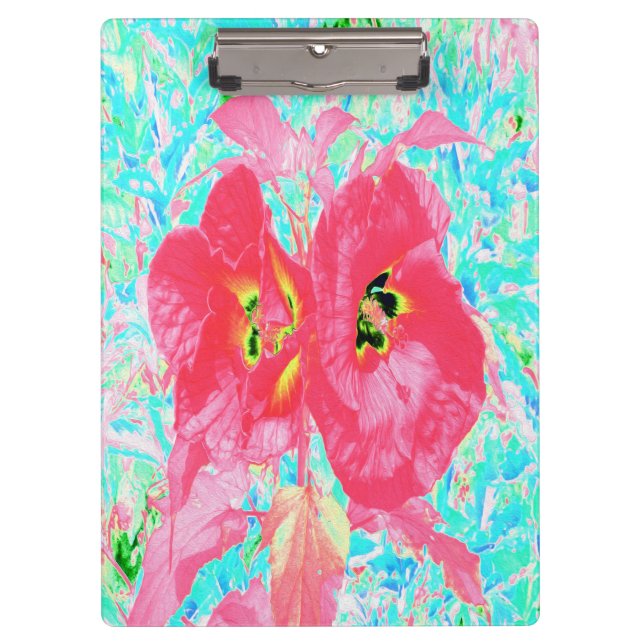 Zwei Rosy Red Coral Pum Crazy Hibiskus auf Aqua Klemmbrett (Vorderseite)