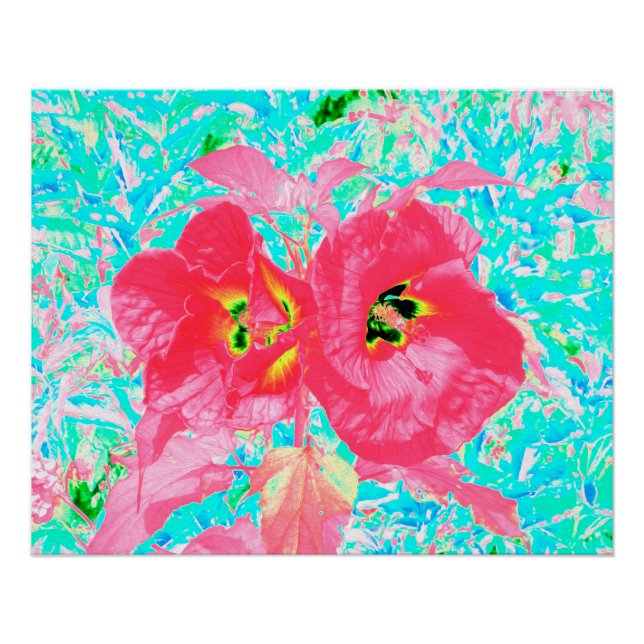 Zwei Rosy Red Coral Pum Crazy Hibiskus auf Aqua Poster (Vorderseite)