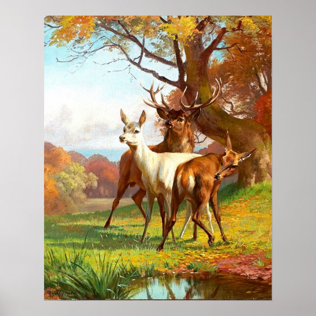 Zwei Rot- und Weißwild im Wald Poster (Vorne)