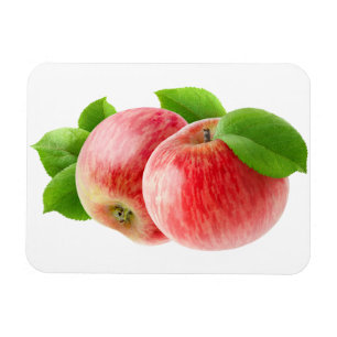 Zwei rote Äpfel Magnet