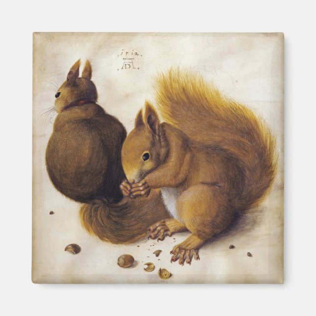 Zwei Rote Eichhörnchen (von Albrecht Dürer) Magnet (Vorne)