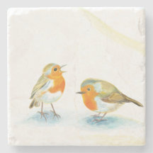 Zwei rote Robins im Winter