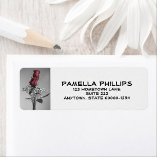 Zwei Rote Rose   Stilllebenfotografie