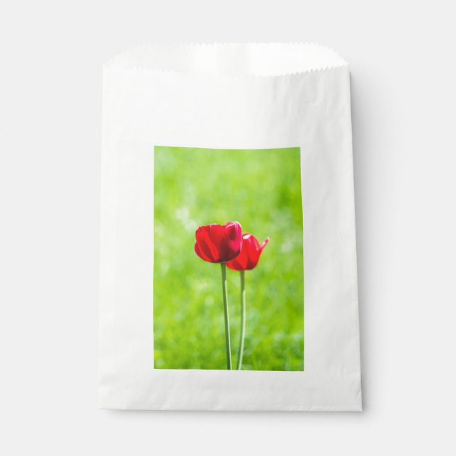Zwei rote TulpenBlume Geschenktütchen (Vorderseite)
