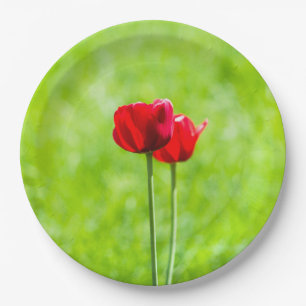 Zwei rote TulpenBlume Pappteller