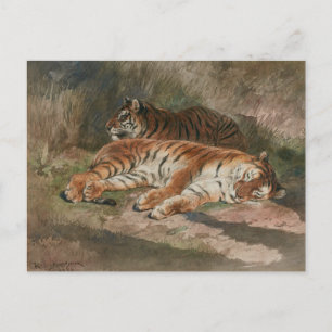 Zwei ruhende Tiger (1887) Postkarte