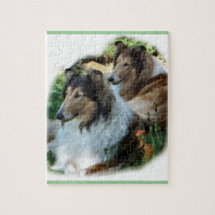 Zwei Sable-raues Collies Puzzle