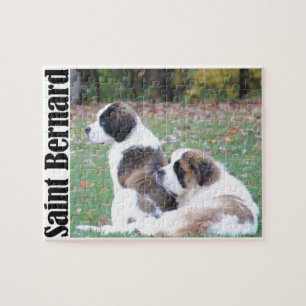 Zwei Saint Bernards Puzzle