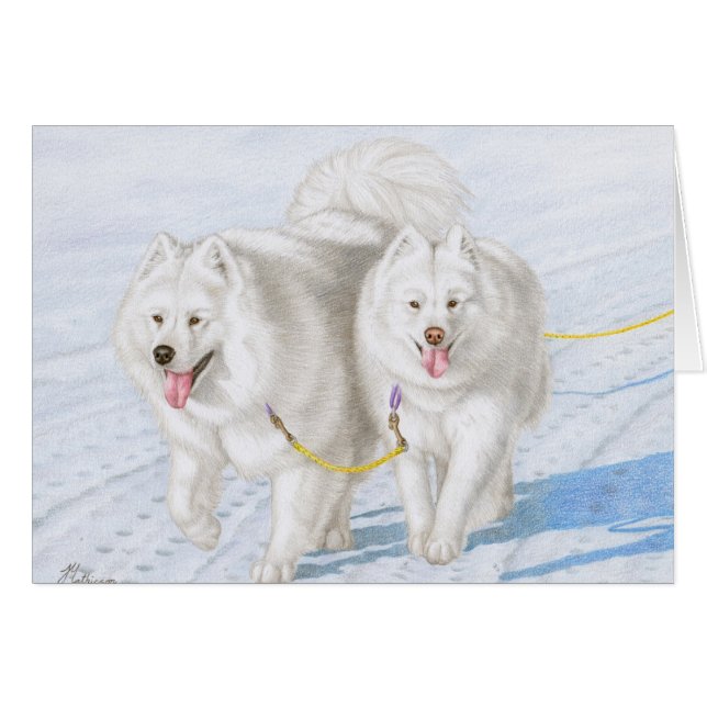 Zwei Samoyeds, die durch den Schnee laufen (Vorderseite (Horizontal))