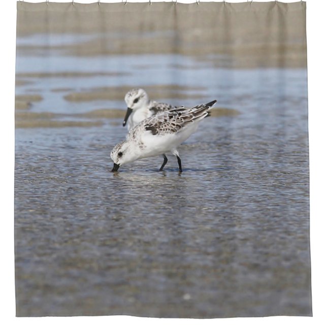 Zwei Sanderlings Duschvorhang (Vorderseite)