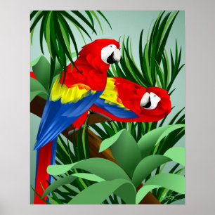 Zwei Scarlet-Macaws Poster