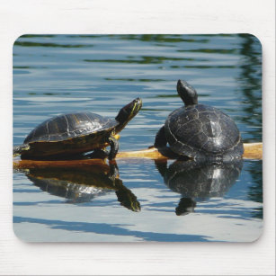 Zwei Schildkröten am Schildkröte-Bar Mousepad