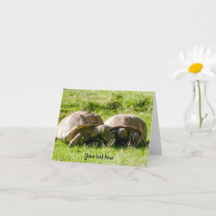 Zwei Schildkröten - Beste Freunde! Grußkarte Karte