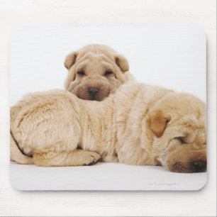 Zwei schlafende Shar Pei Welpen, Studioschuß Mousepad