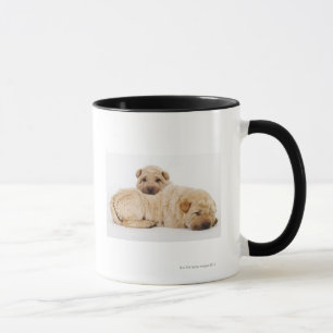 Zwei schlafende Shar Pei Welpen, Studioschuß Tasse