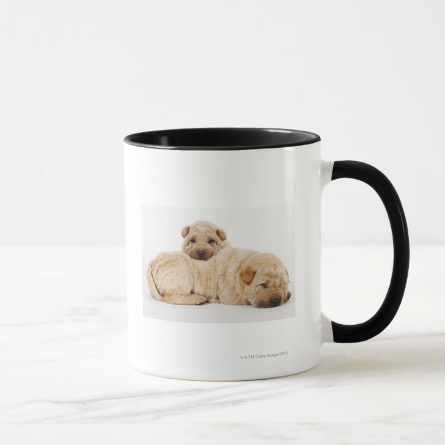 Zwei schlafende Shar Pei Welpen, Studioschuß Tasse (Rechts)