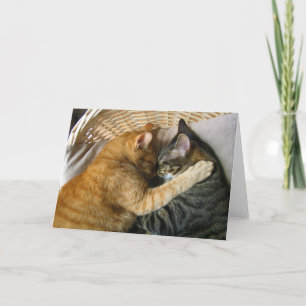 Zwei schlafende Tabby Katzen Cuddling Karte