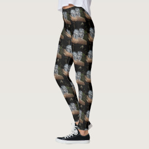 Zwei schlaflose Frogmouth Owls, Leggings