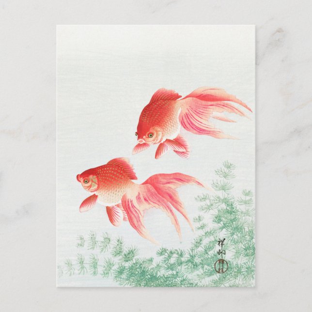 Zwei Schleier Goldfisch - Ohara Koson - Vintage Fi Postkarte (Vorderseite)