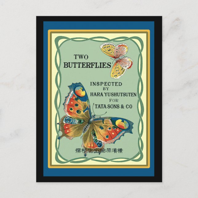 Zwei Schmetterlinge Postkarte (Vorderseite)
