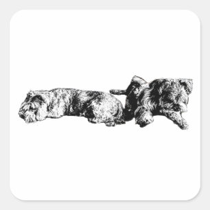 Zwei Schnauzer – Schwarz-Weiß-Hund-Aufkleber Quadratischer Aufkleber