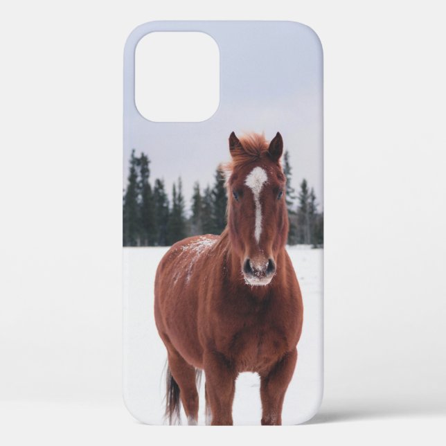ZWEI SCHNEESCHÄDEN Case-Mate iPhone HÜLLE (Rückseite)