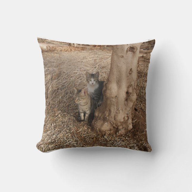 ZWEI SCHNEIZKATZEN IN EINER URSPRÜNGLICHEN BILDKUN KISSEN (Vorderseite)