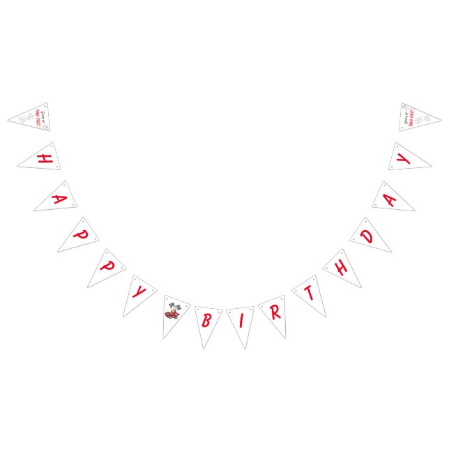 Zwei schnelle 2. Geburtstag wachsen Wimpelkette (Alle)