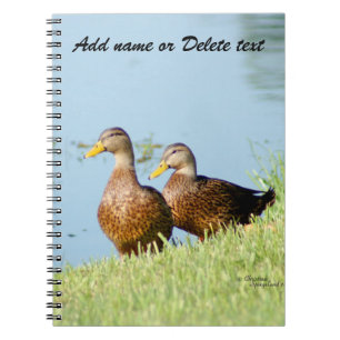 Zwei schöne Ducks Notebook Notizblock